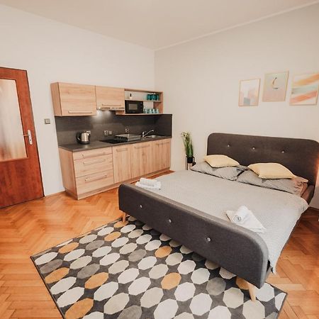 Elegant Studio, 400M From The Square Apartment Plzen Luaran gambar