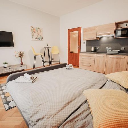 Elegant Studio, 400M From The Square Apartment Plzen Luaran gambar