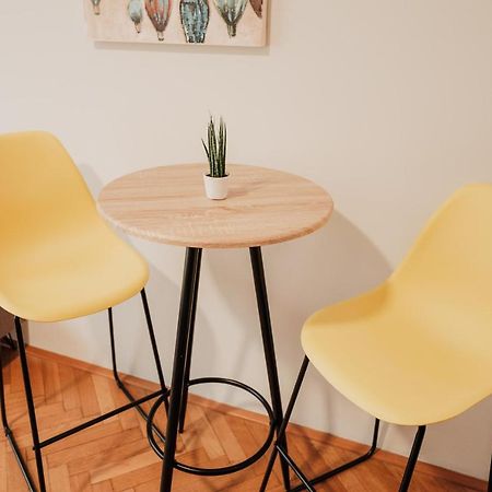 Elegant Studio, 400M From The Square Apartment Plzen Luaran gambar