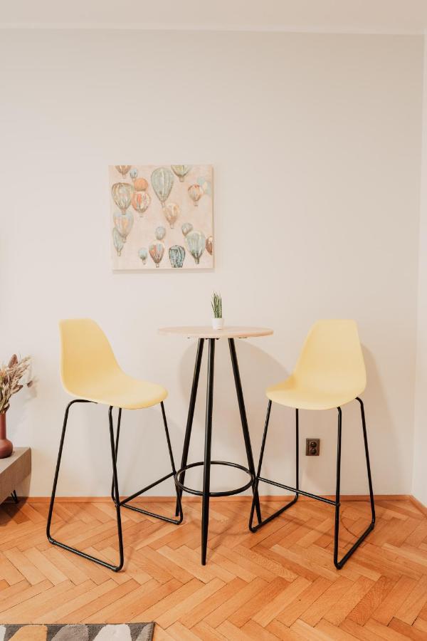 Elegant Studio, 400M From The Square Apartment Plzen Luaran gambar