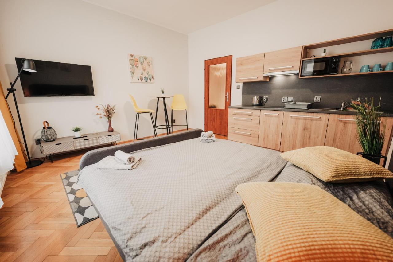 Elegant Studio, 400M From The Square Apartment Plzen Luaran gambar