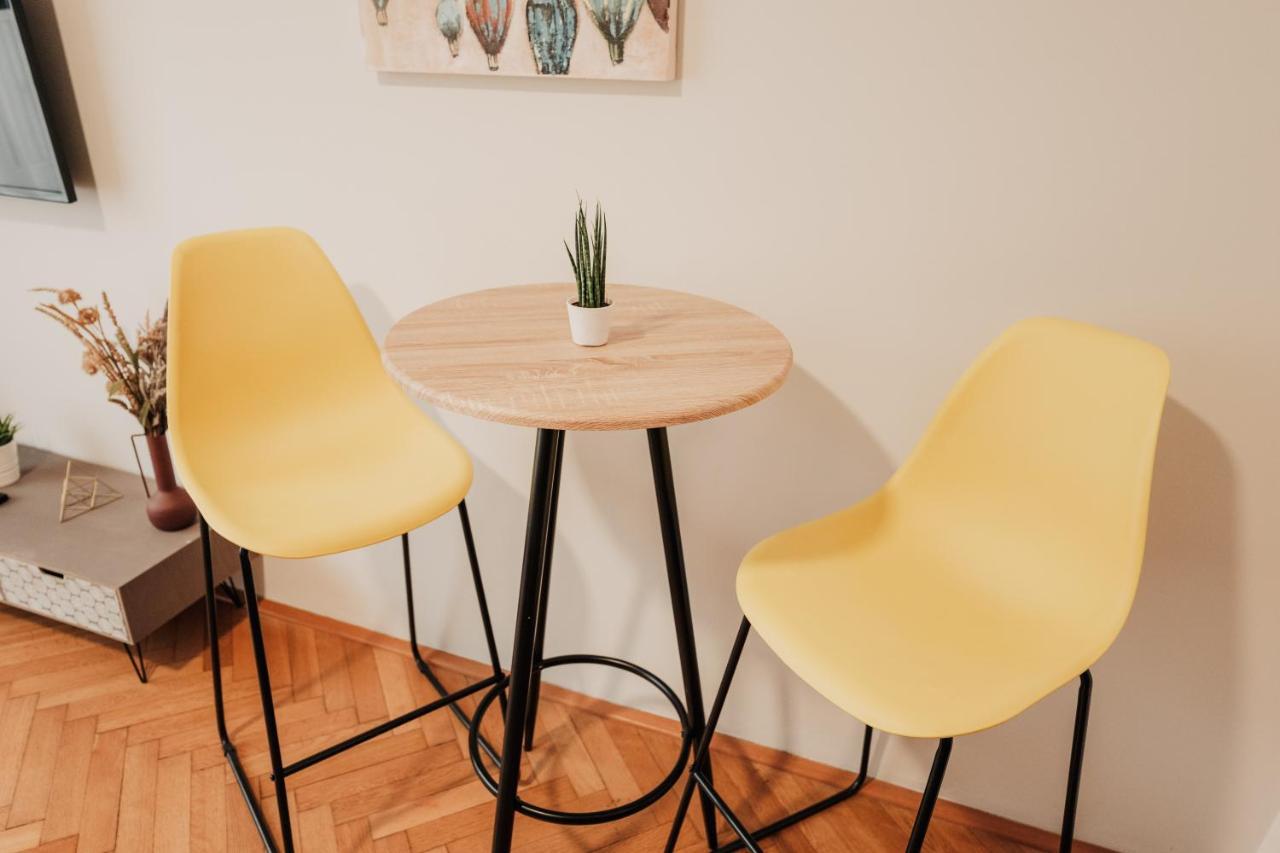 Elegant Studio, 400M From The Square Apartment Plzen Luaran gambar