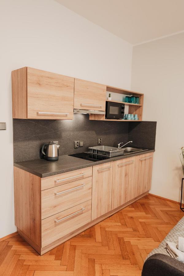 Elegant Studio, 400M From The Square Apartment Plzen Luaran gambar